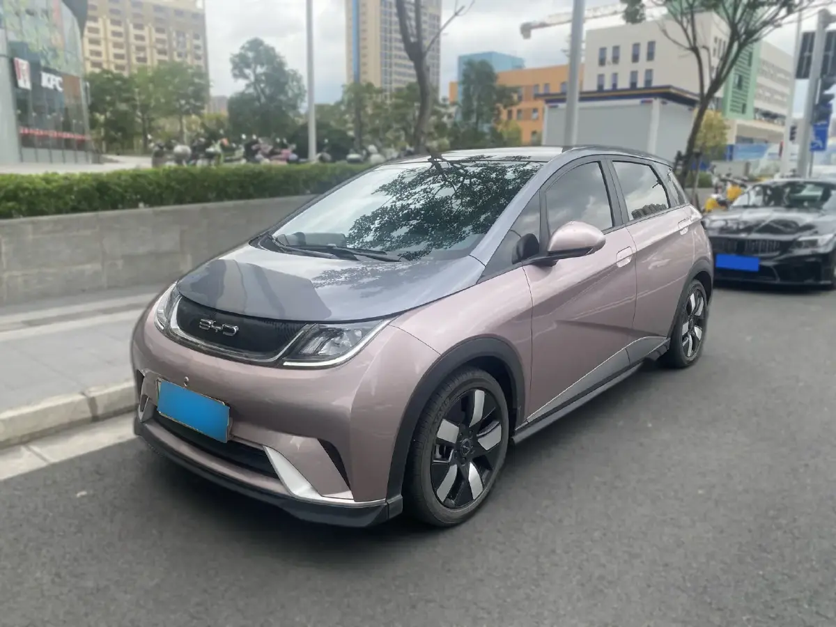 2021 BYD Dolphin BEV 44.9KWH