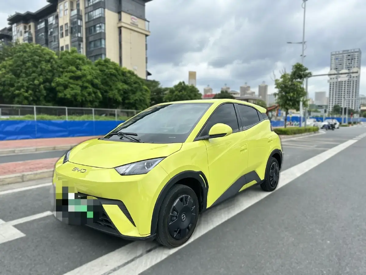 2024 BYD Seagull BEV 30.08KWH