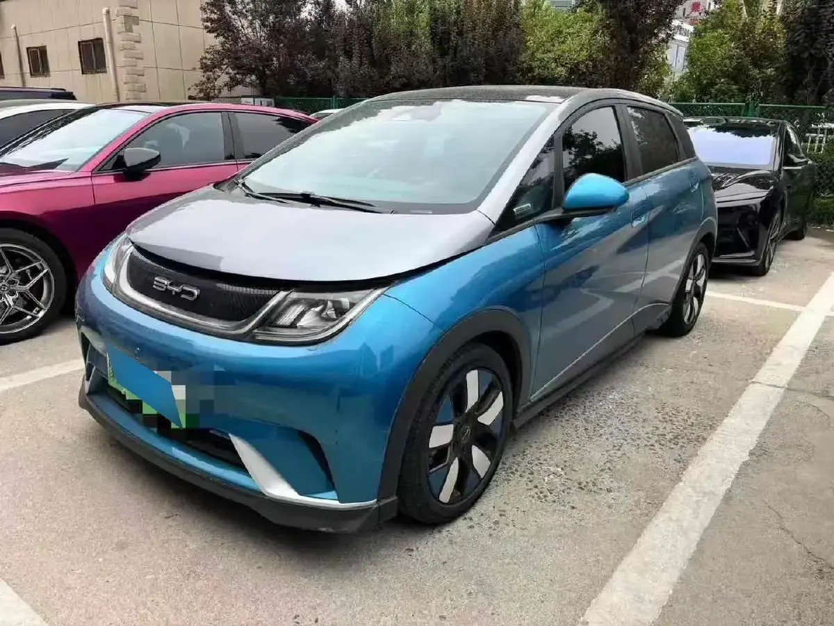 2021 BYD Dolphin BEV 44.9KWH