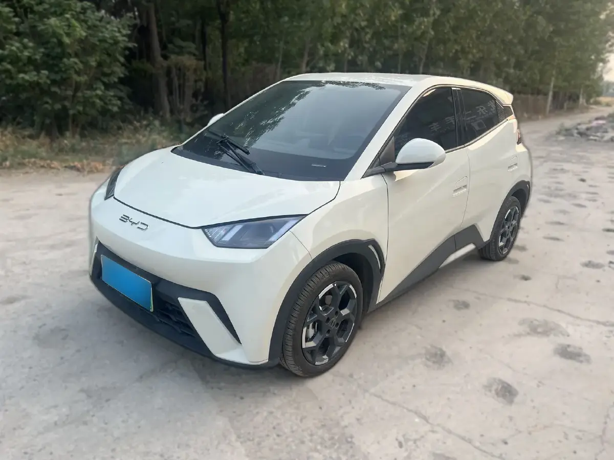 2024 BYD Seagull BEV 38.88KWH