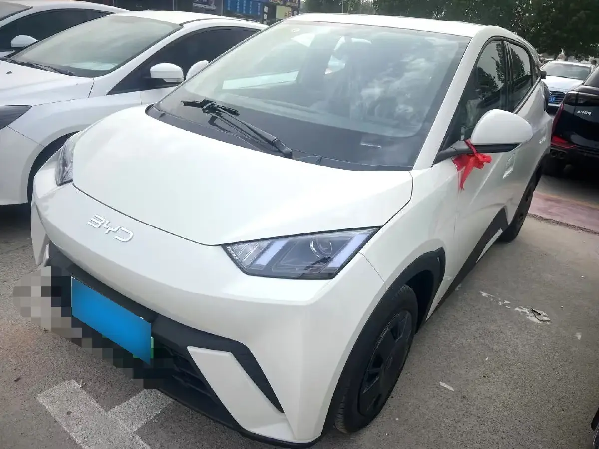 2025 BYD Seagull BEV 30.08KWH