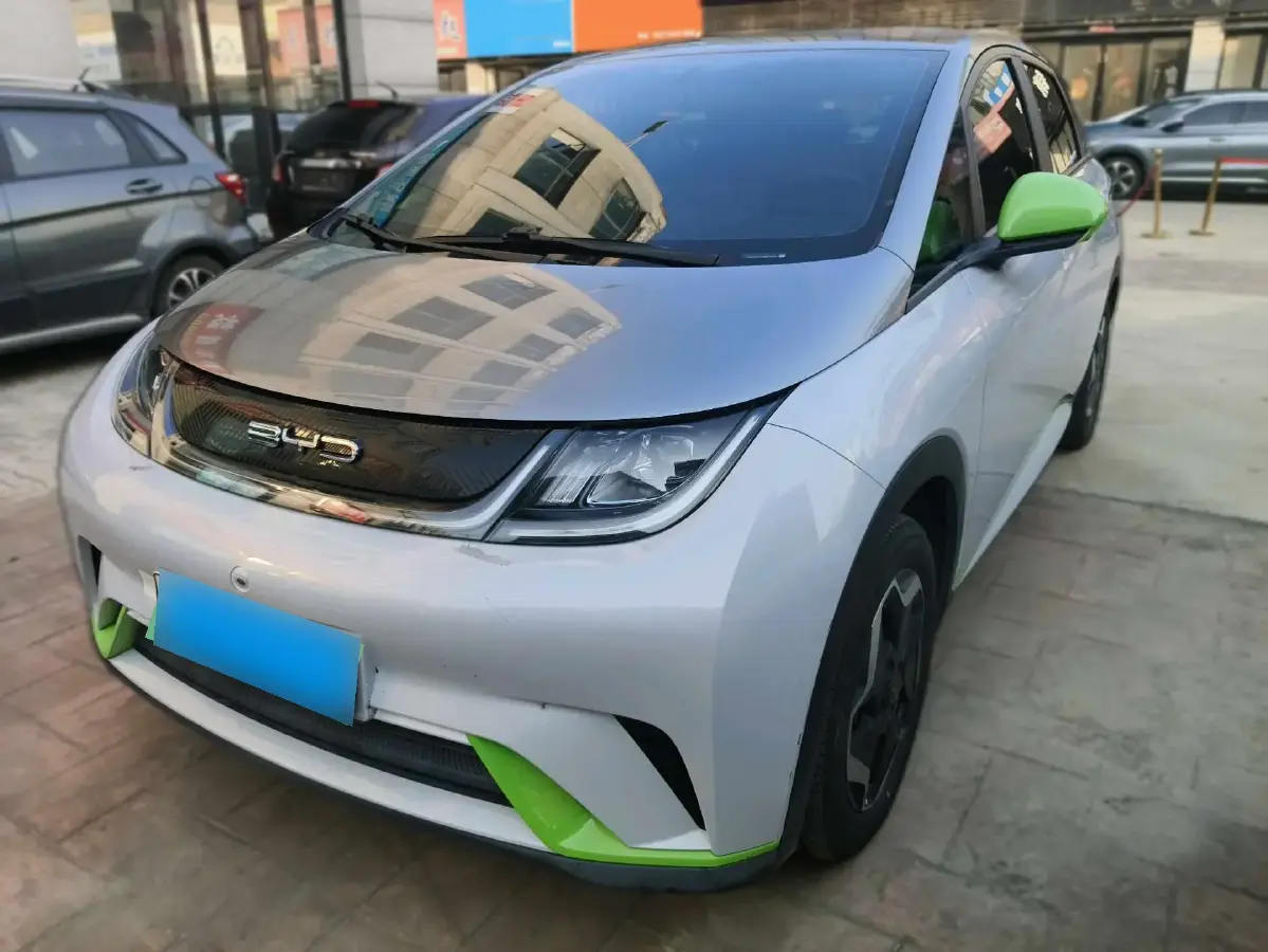 2021 BYD Dolphin BEV 44.9KWH
