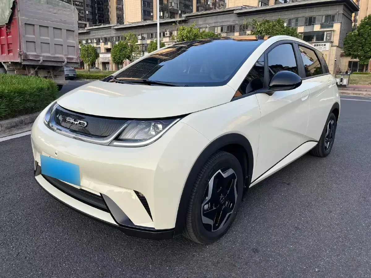 2021 BYD Dolphin BEV 44.9KWH