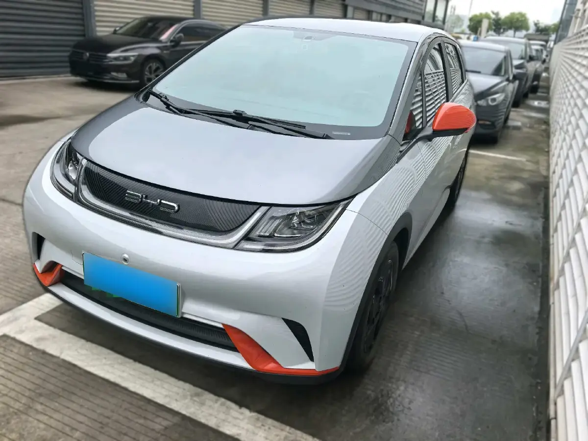 2021 BYD Dolphin BEV 44.9KWH