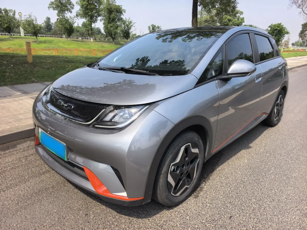 2021 BYD Dolphin BEV 44.9KWH