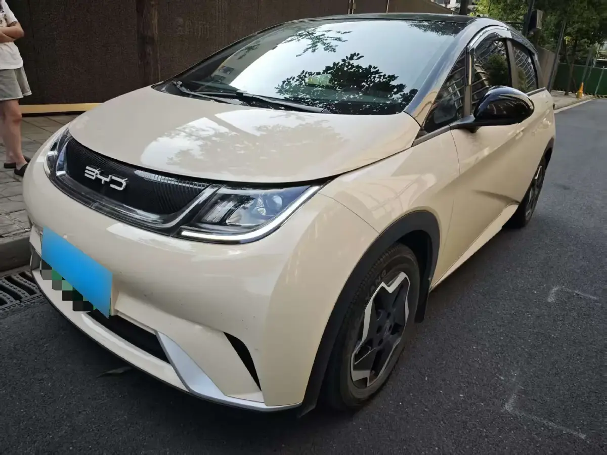 2021 BYD Dolphin BEV 44.9KWH