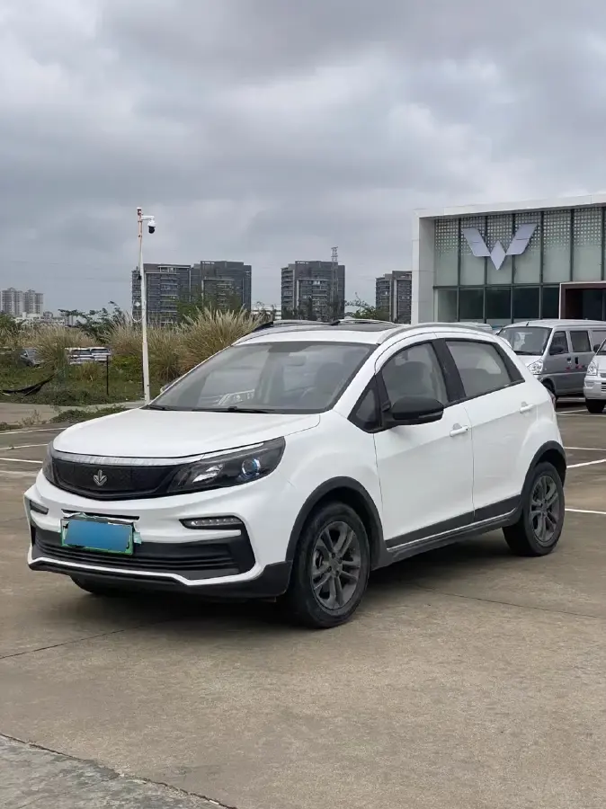 2020 Livan Maple 30X BEV 37KWH