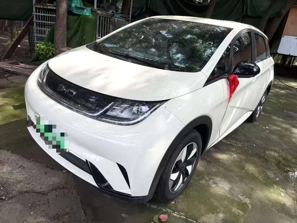 2025 BYD Dolphin BEV 44.928KWH