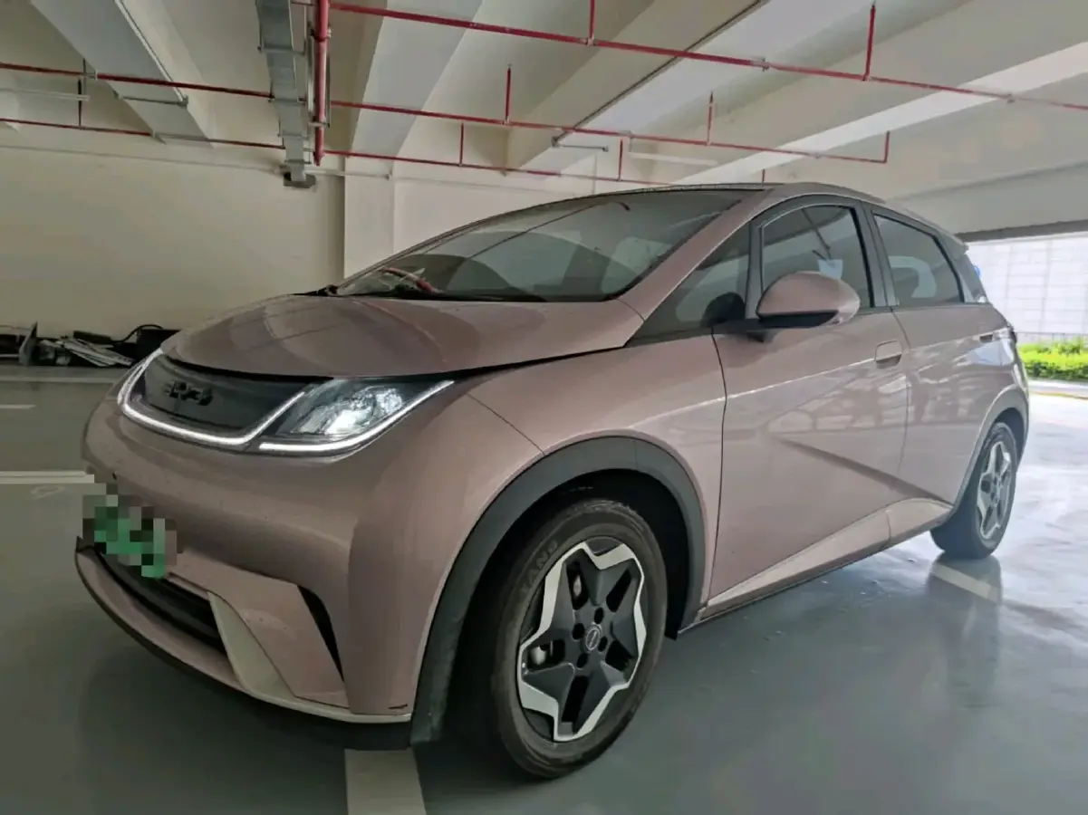 2021 BYD Dolphin BEV 44.9KWH