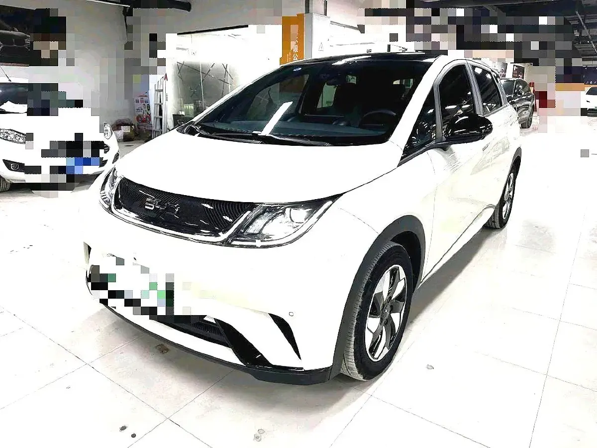 2024 BYD Dolphin BEV 44.928KWH