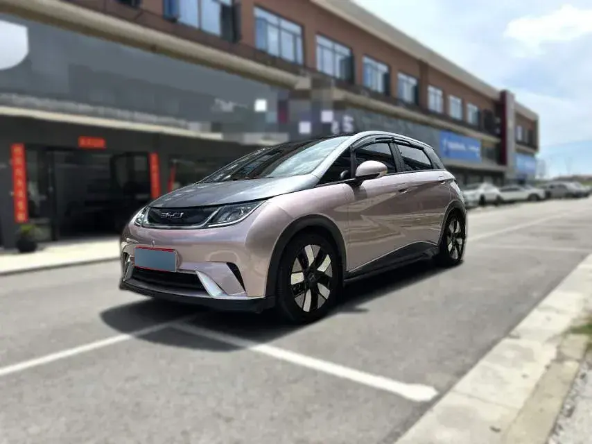 2021 BYD Dolphin BEV 44.9KWH