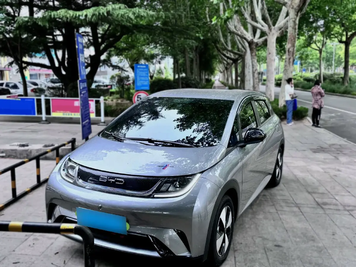 2023 BYD Dolphin BEV 44.928KWH