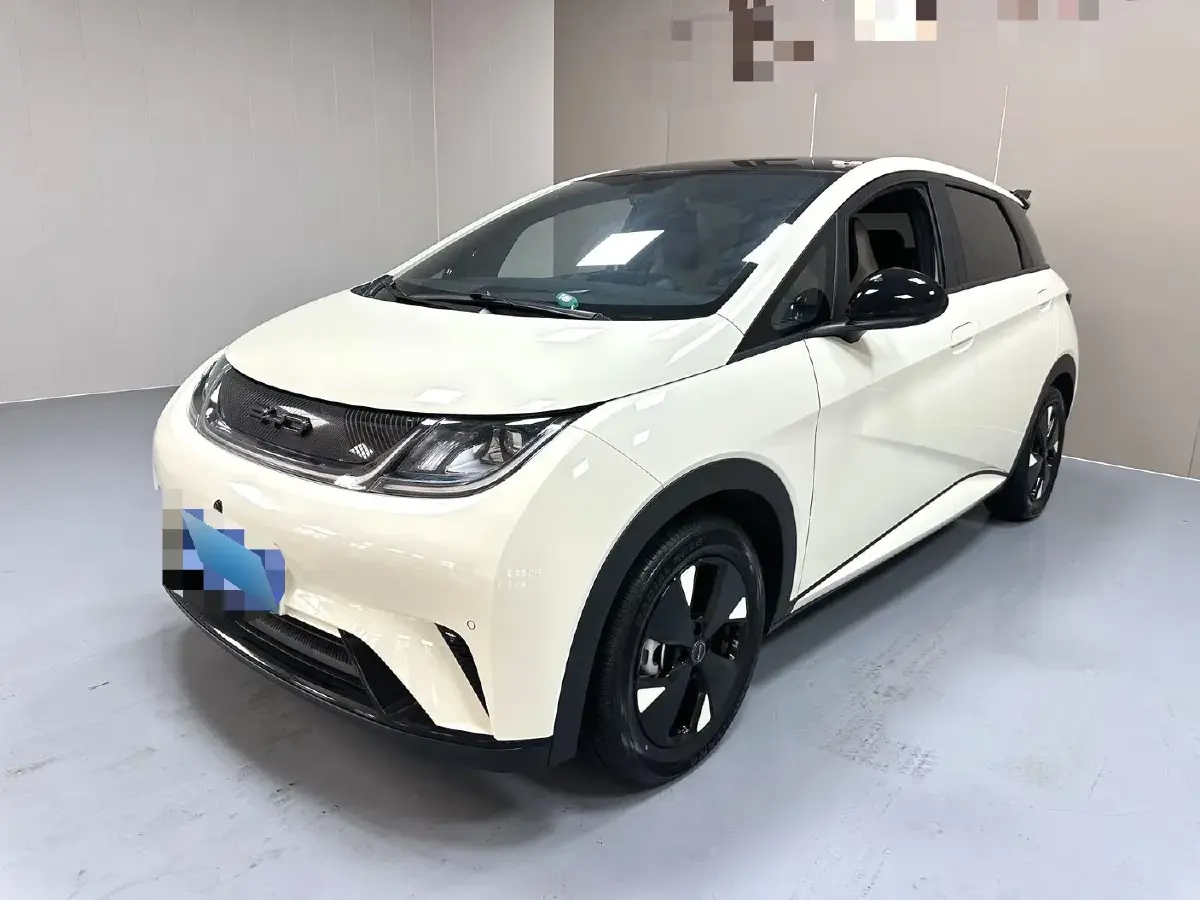 2023 BYD Dolphin BEV 44.928KWH