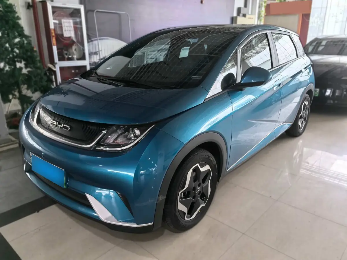 2021 BYD Dolphin BEV 44.9KWH