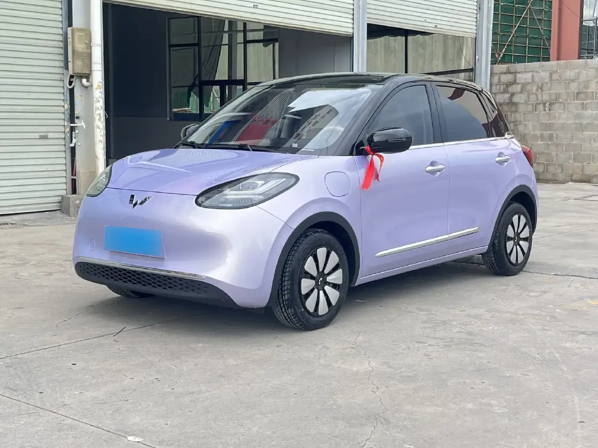 2025 WuLing BinGuo BEV