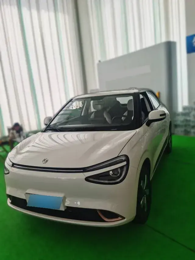 2024 DongFeng Nammi 01 BEV 42.3KWH