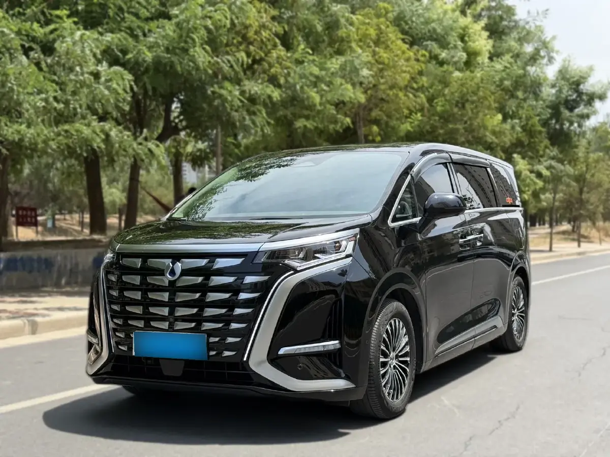 2022 Denza D9 1.5T 139HP L4 E-CVT PHEV 40.06KWH