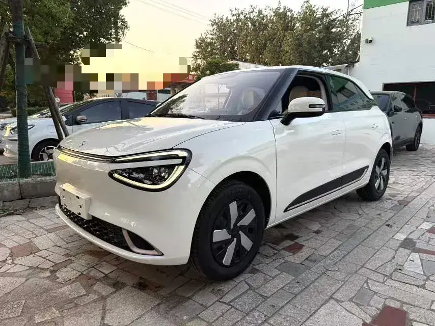 2024 DongFeng Nammi 01 BEV 31.45KWH