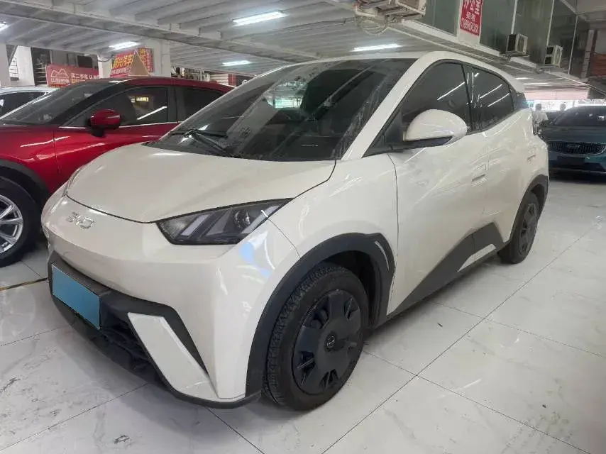 2024 BYD Seagull BEV 30.08KWH