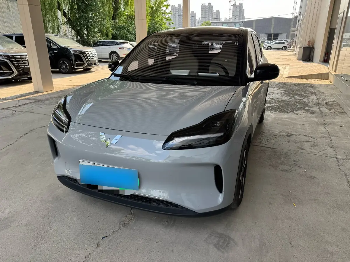 2024 WuLing BinGuoPLUS BEV 50.6KWH