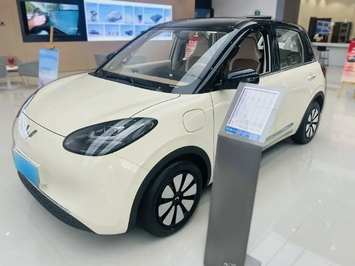 2024 WuLing BinGuo BEV 31.9KWH