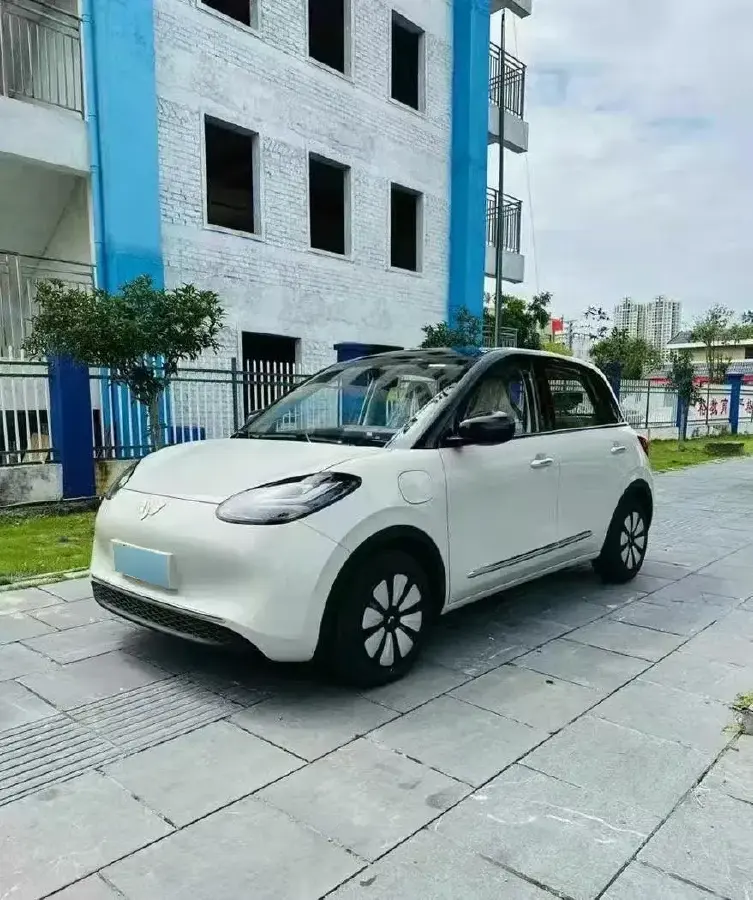 2025 WuLing BinGuo BEV