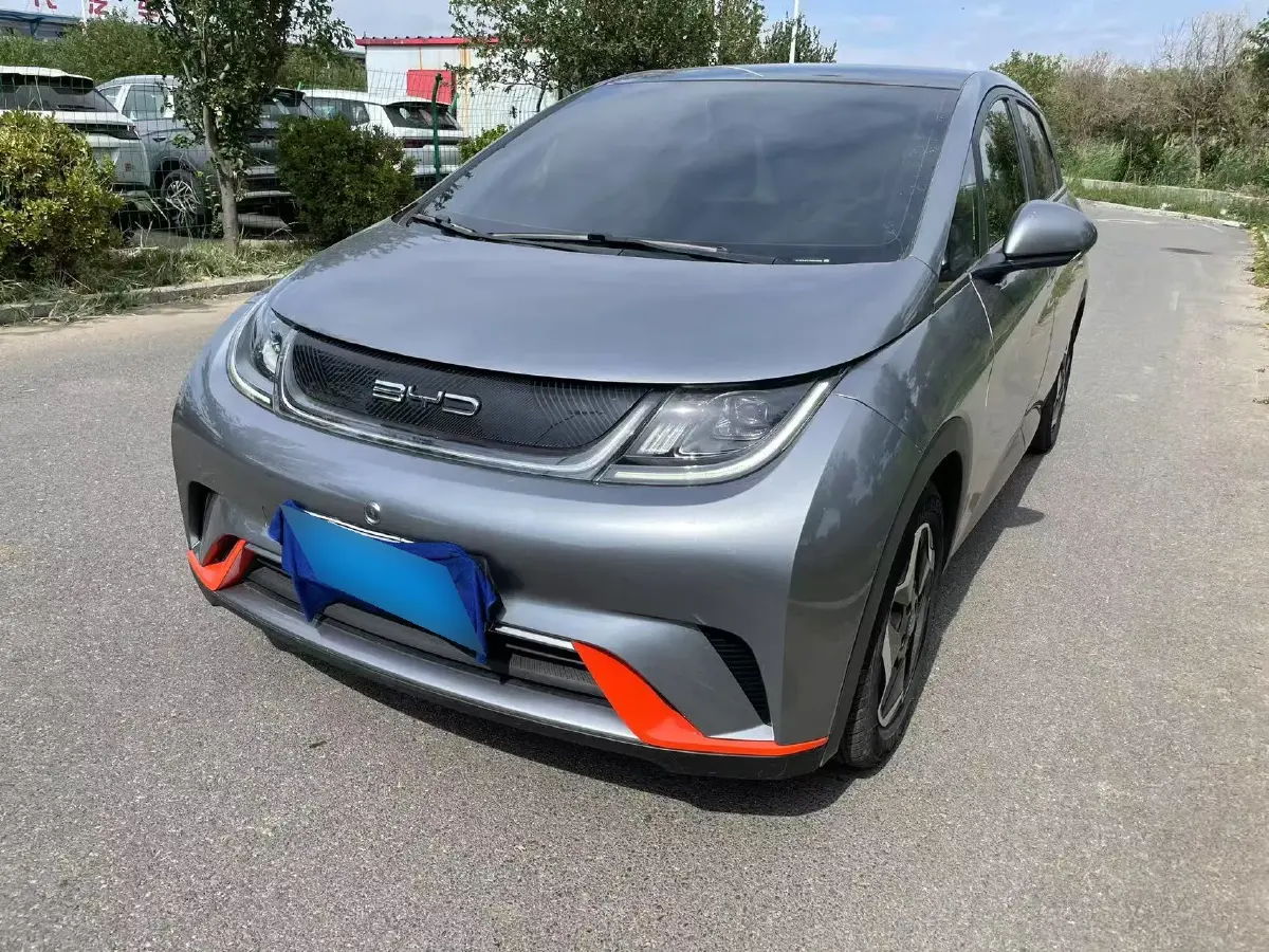 2021 BYD Dolphin BEV 44.9KWH