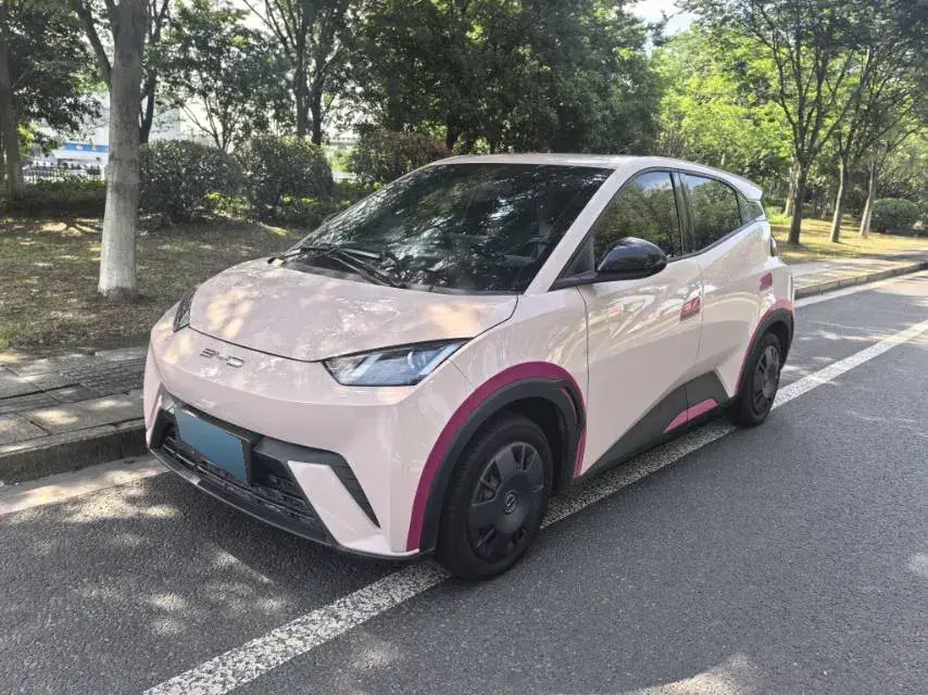 2023 BYD Seagull BEV 30.08KWH