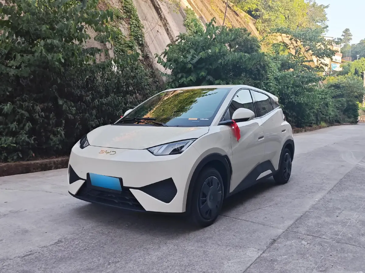2025 BYD Seagull BEV 30.08KWH