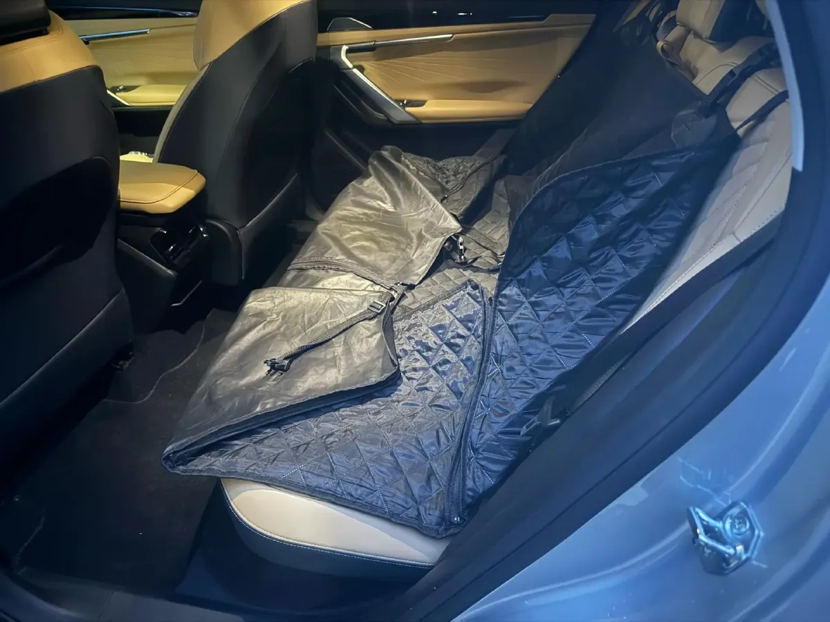 2024 Geely StarRay 1.5T 181HP L4 7DCT,autocango,china used car exporter,china ev exporter,chinese used car exporter,chinese used ev exporter