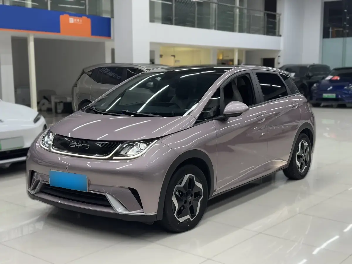 2021 BYD Dolphin BEV 44.9KWH
