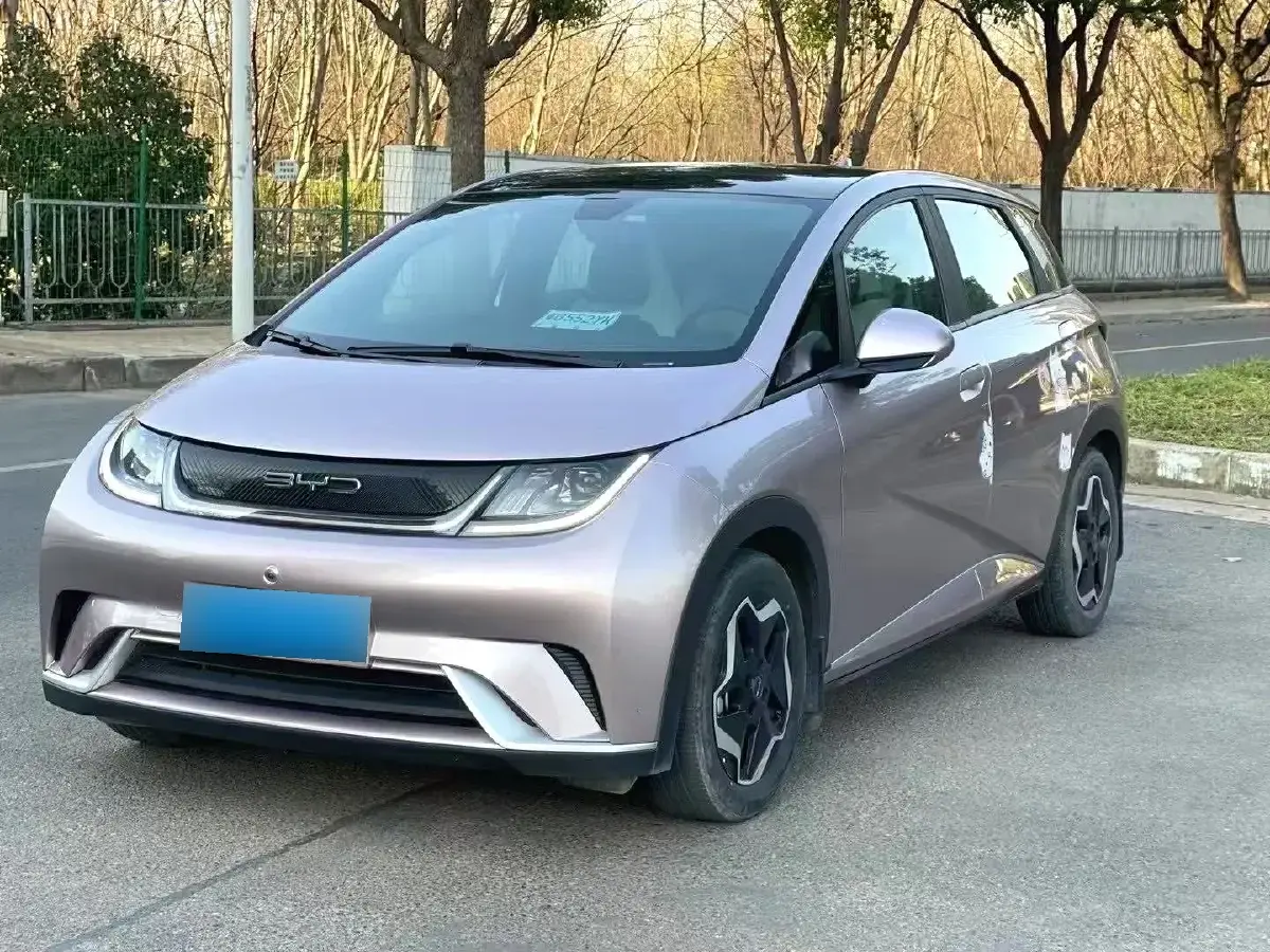 2021 BYD Dolphin BEV 44.9KWH
