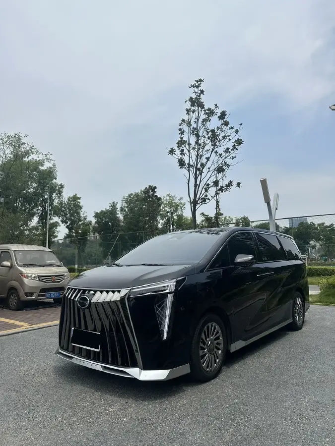 2024 GAC Trumpchi M8 2.0T 252HP L4 8AT