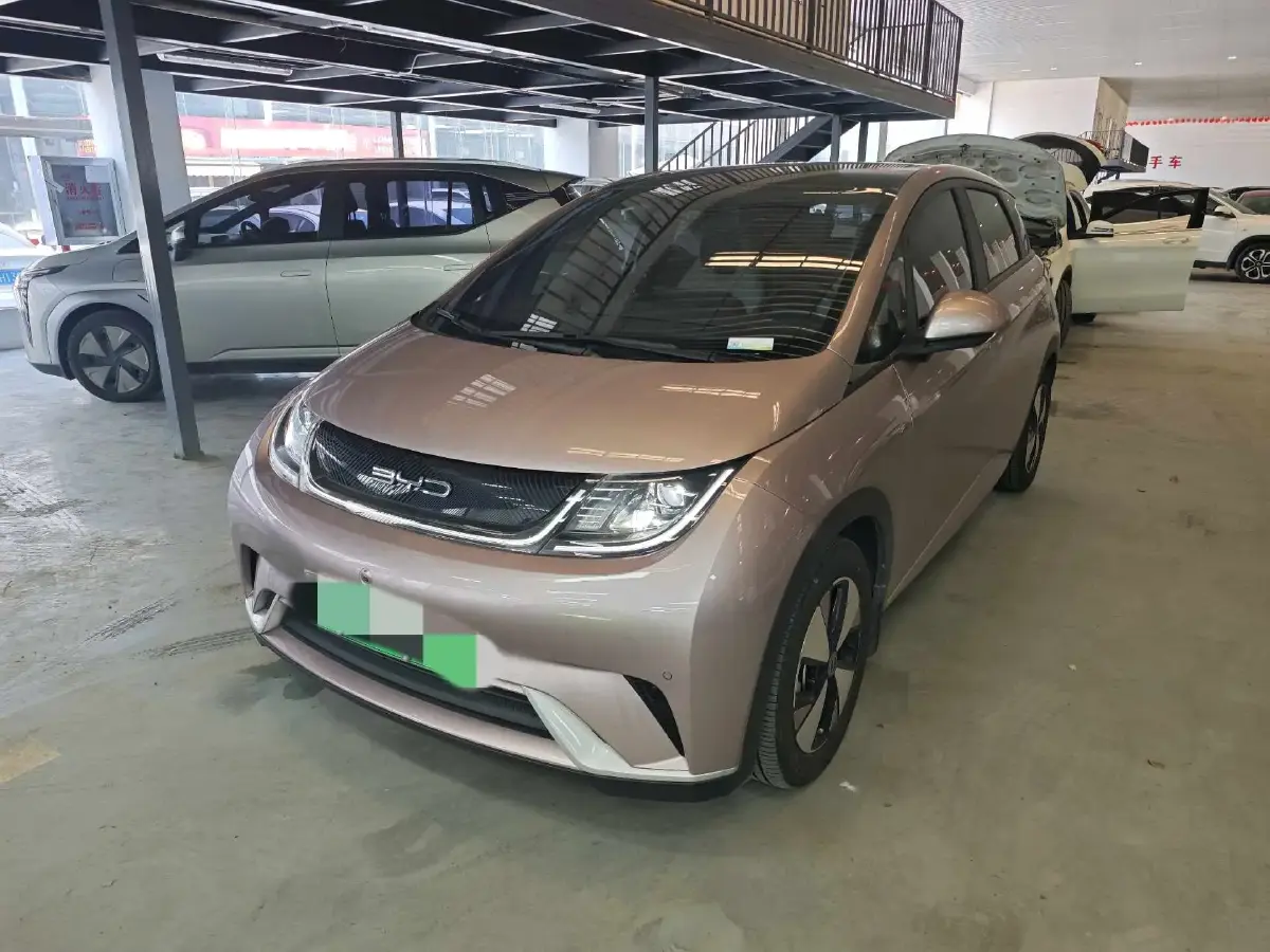 2023 BYD Dolphin BEV 44.928KWH