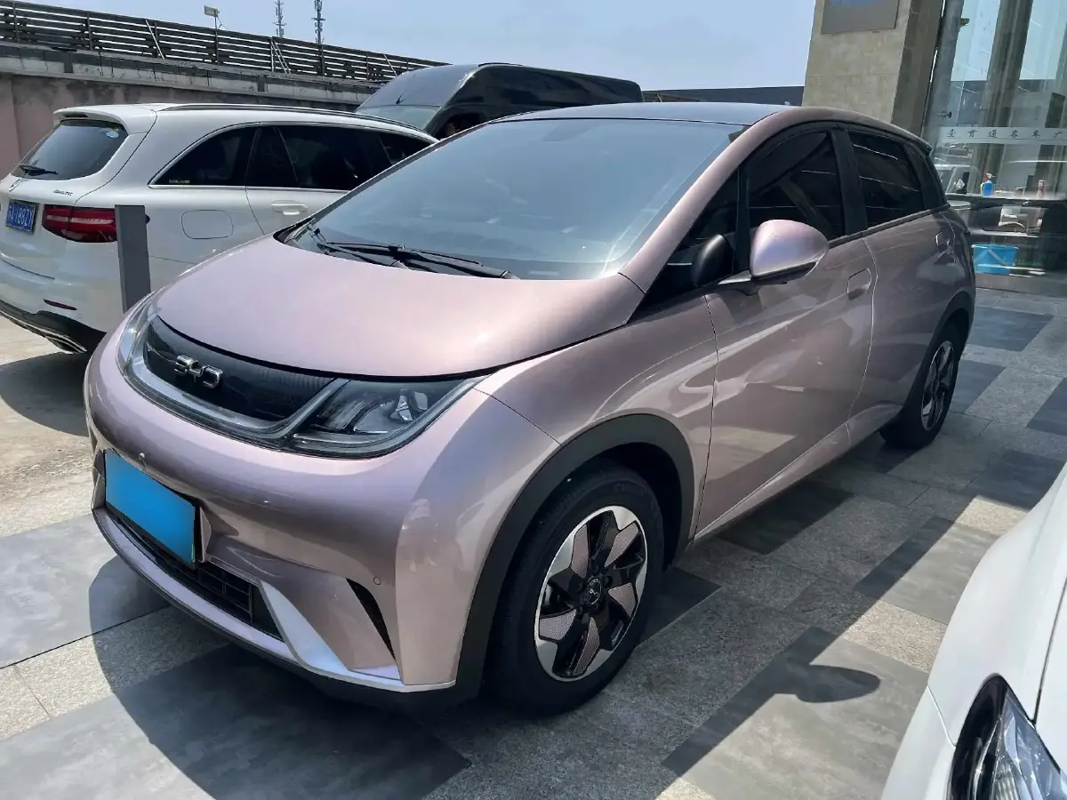 2024 BYD Dolphin BEV 44.928KWH