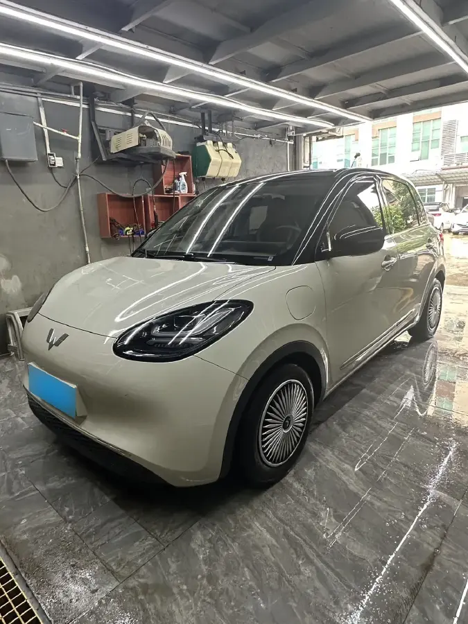 2023 WuLing BinGuo BEV 31.9KWH