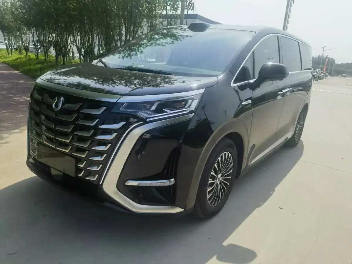 2025 Denza D9 1.5T 156HP L4 E-CVT PHEV 40KWH