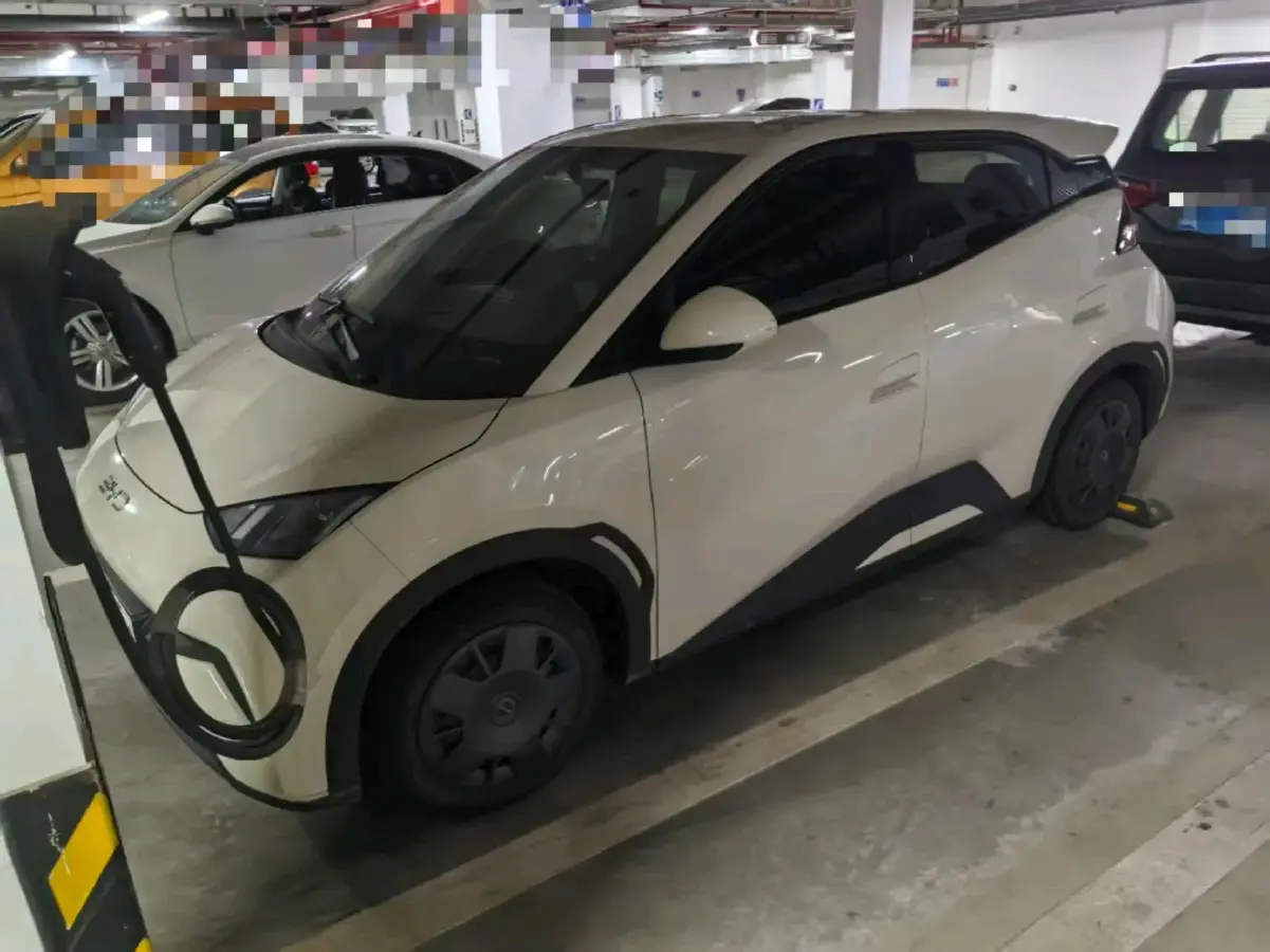 2024 BYD Seagull BEV 30.08KWH