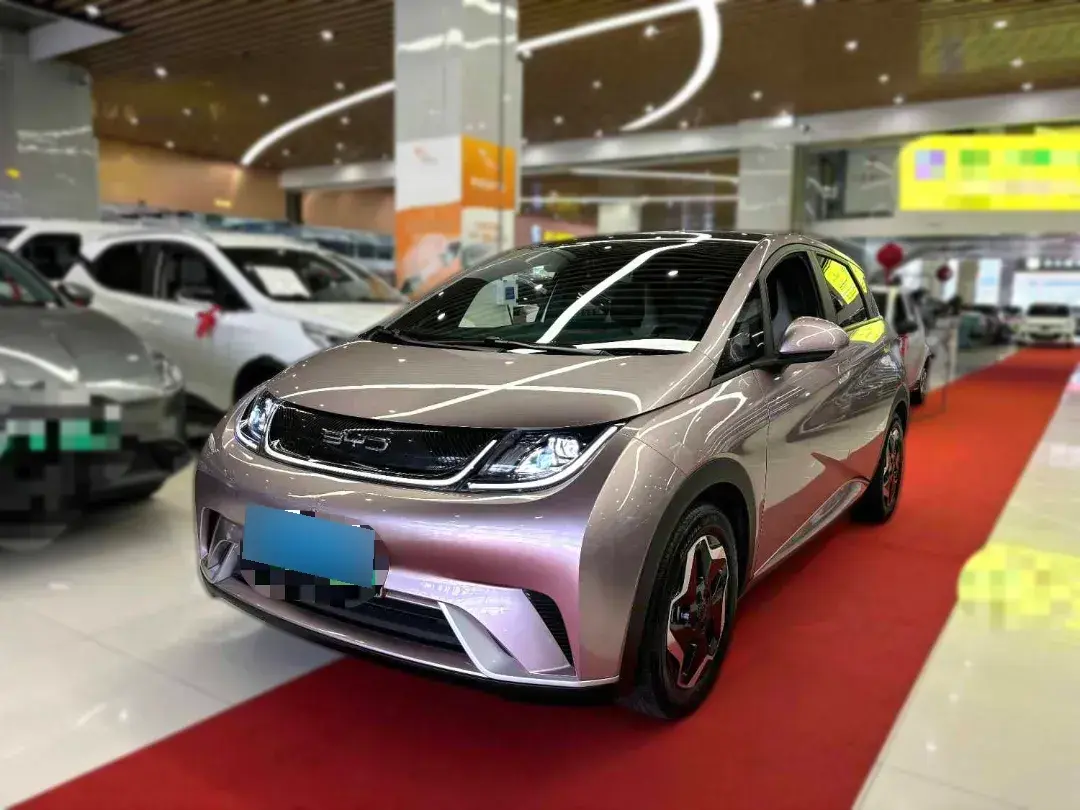 2021 BYD Dolphin BEV 44.9KWH