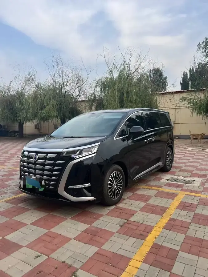 2024 Denza D9 1.5T 139HP L4 E-CVT PHEV 20.39KWH