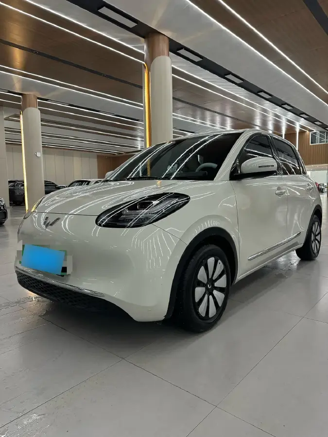 2023 WuLing BinGuo BEV 17.3KWH
