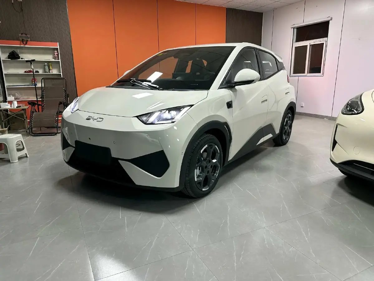 2025 BYD Seagull BEV 30.08KWH