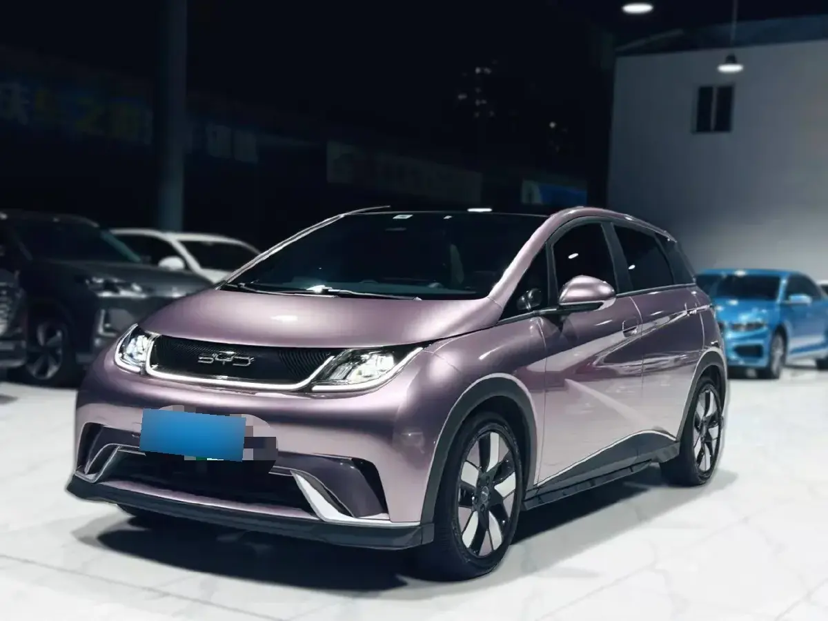 2021 BYD Dolphin BEV 44.9KWH