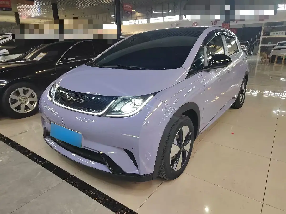 2021 BYD Dolphin BEV 44.9KWH