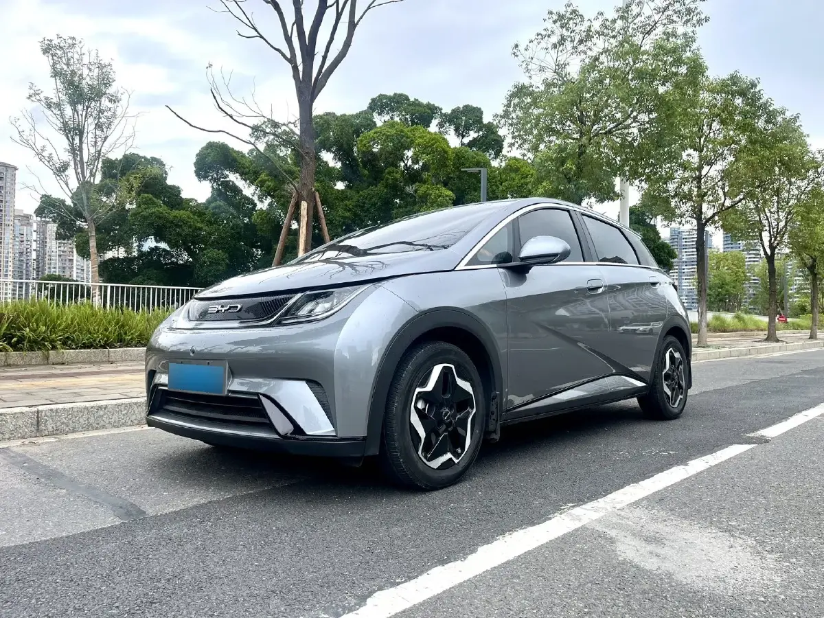 2021 BYD Dolphin BEV 44.9KWH