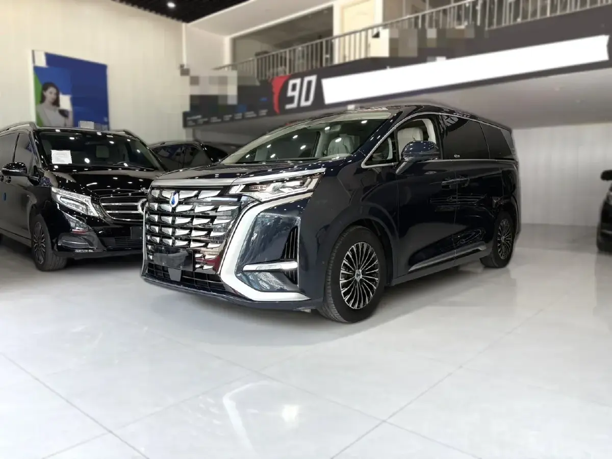 2022 Denza D9 1.5T 139HP L4 E-CVT PHEV 40.06KWH
