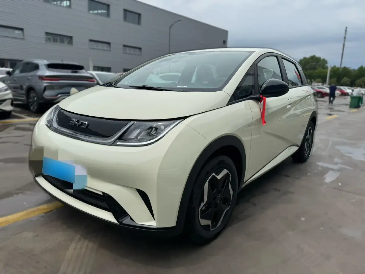 2025 BYD Dolphin BEV 44.928KWH