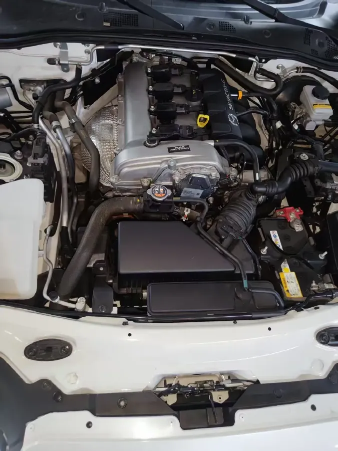 2023 BMW 3.0T 333HP L6 8AT,autocango,china used car exporter,china ev exporter,chinese used car exporter,chinese used ev exporter