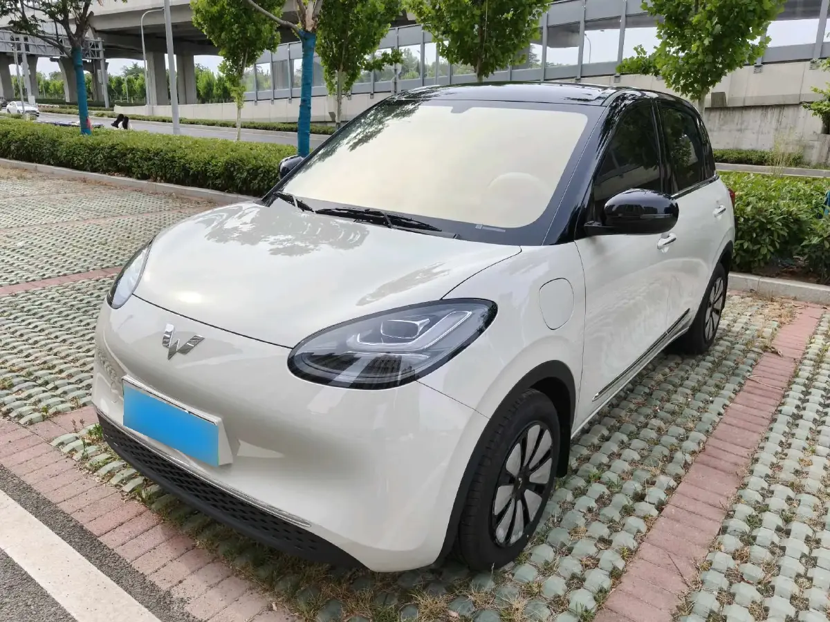 2024 WuLing BinGuo BEV 31.9KWH