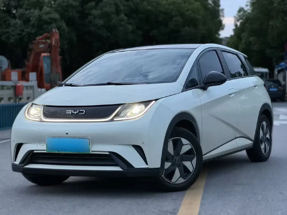 2024 BYD Dolphin BEV 44.928KWH
